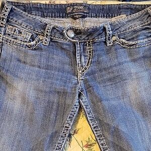 Silver Jeans Classic Indigo Denim